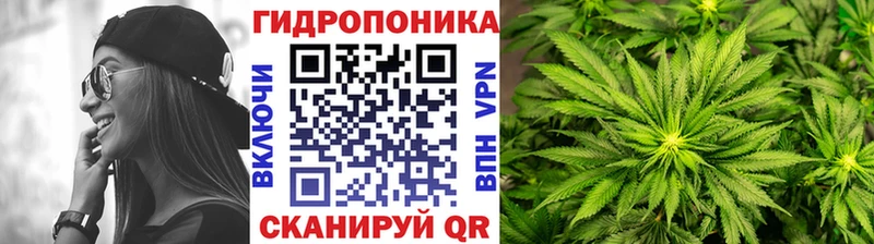 сколько стоит  Карталы  Бошки Шишки MAZAR 